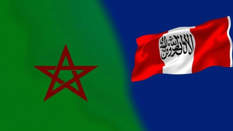 Morocco Advances Strategic Defense Partnerships with France and Saudi Arabia