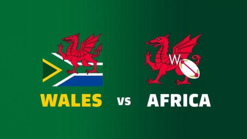 Wales vs. South Africa: Autumn Nations Series Match Overview