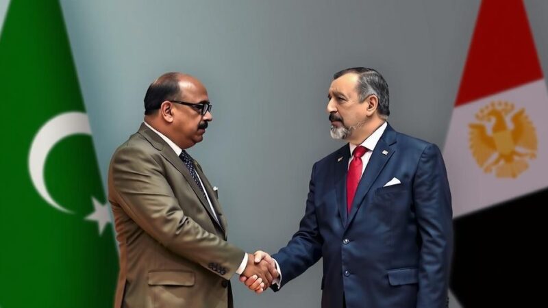 Somalia-Eritrea Relations: President Mohamud Explores Trilateral Talks with Egypt