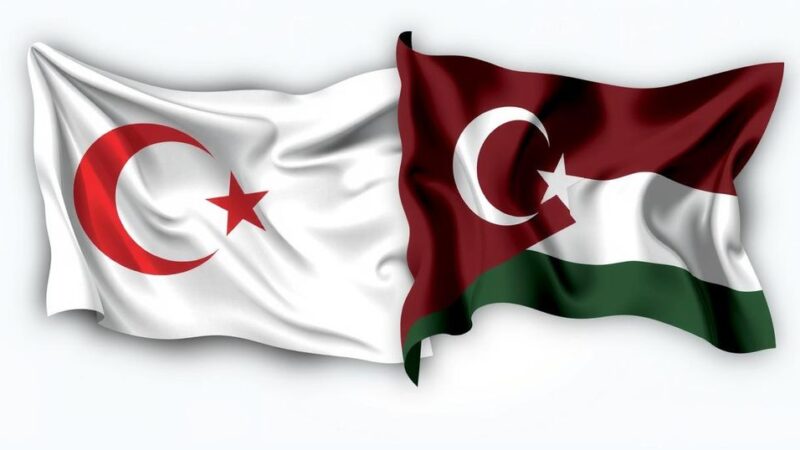 UAE Supports Turkish Mediation Efforts in Sudan Conflict