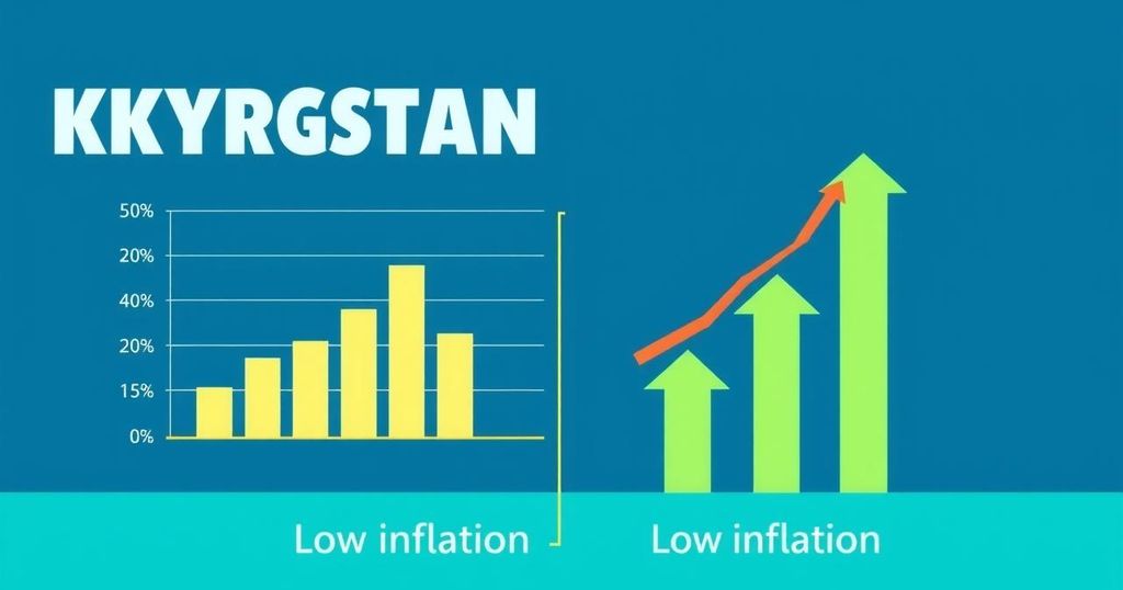 Kyrgyzstan Reports Lowest Inflation Rate Among EAEU Countries in January 2025