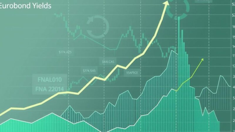 Nigeria Eurobond Yields Increase Amidst Foreign Investor Caution