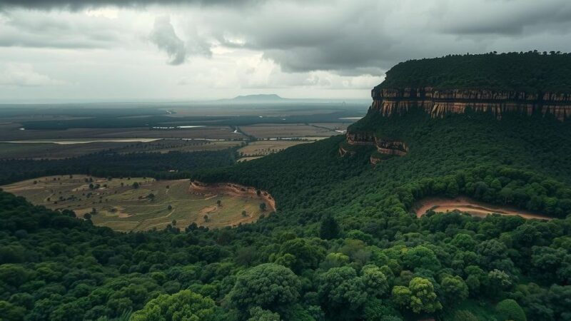 UN Report Exposes Human Rights Violations Against Muslims in Central African Republic